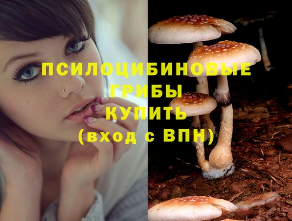 таблы Аркадак