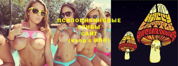 хмурый Алексин
