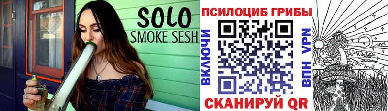 Купить где  Кирс  Псилоцибиновые грибы Psilocybine cubensis 