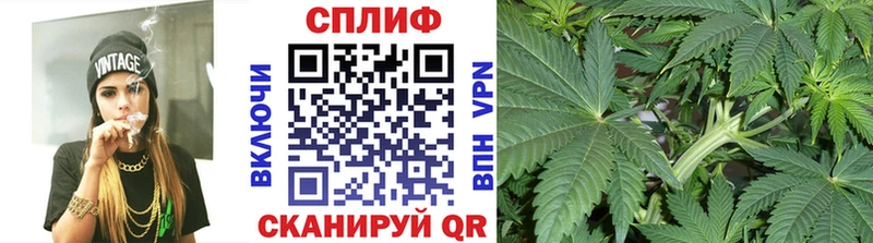 Купить где  Кирс  Марихуана индика 